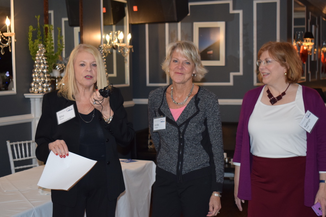 2017 Annual Meeting & Panel Discussion