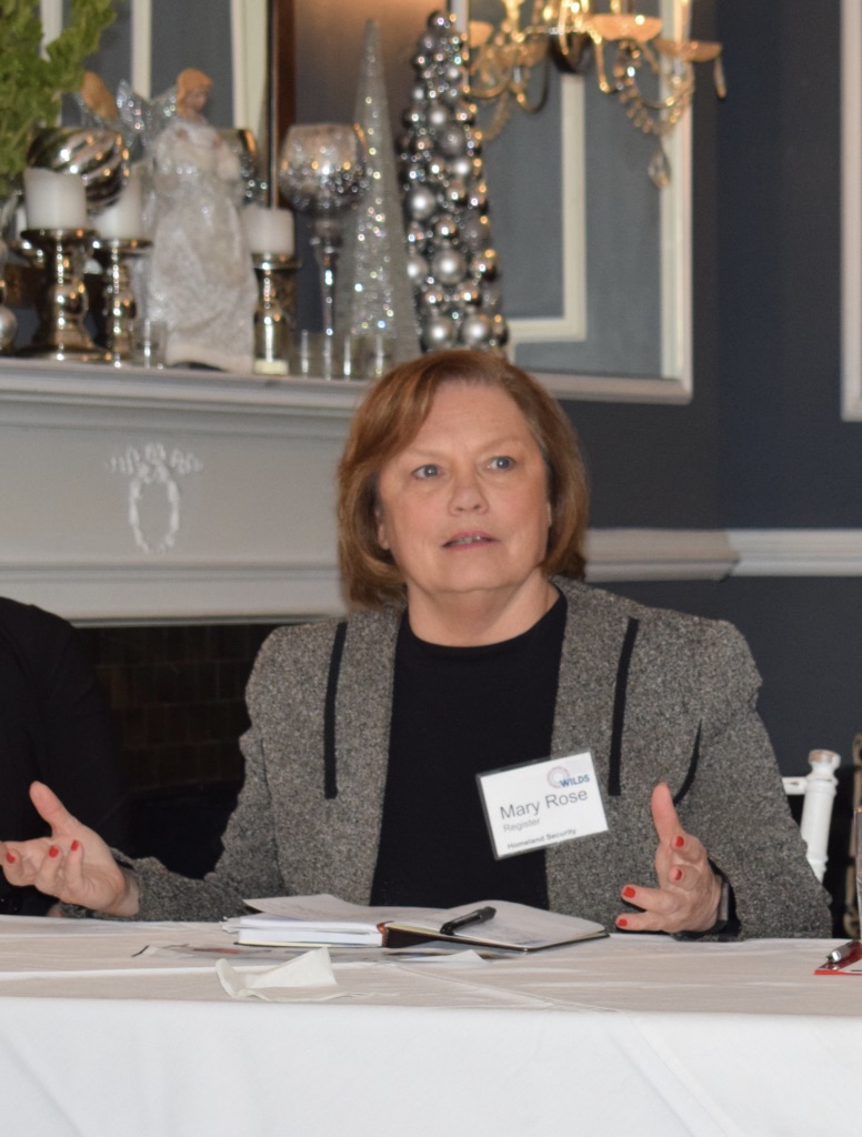 2017 Annual Meeting & Panel Discussion — photo 3