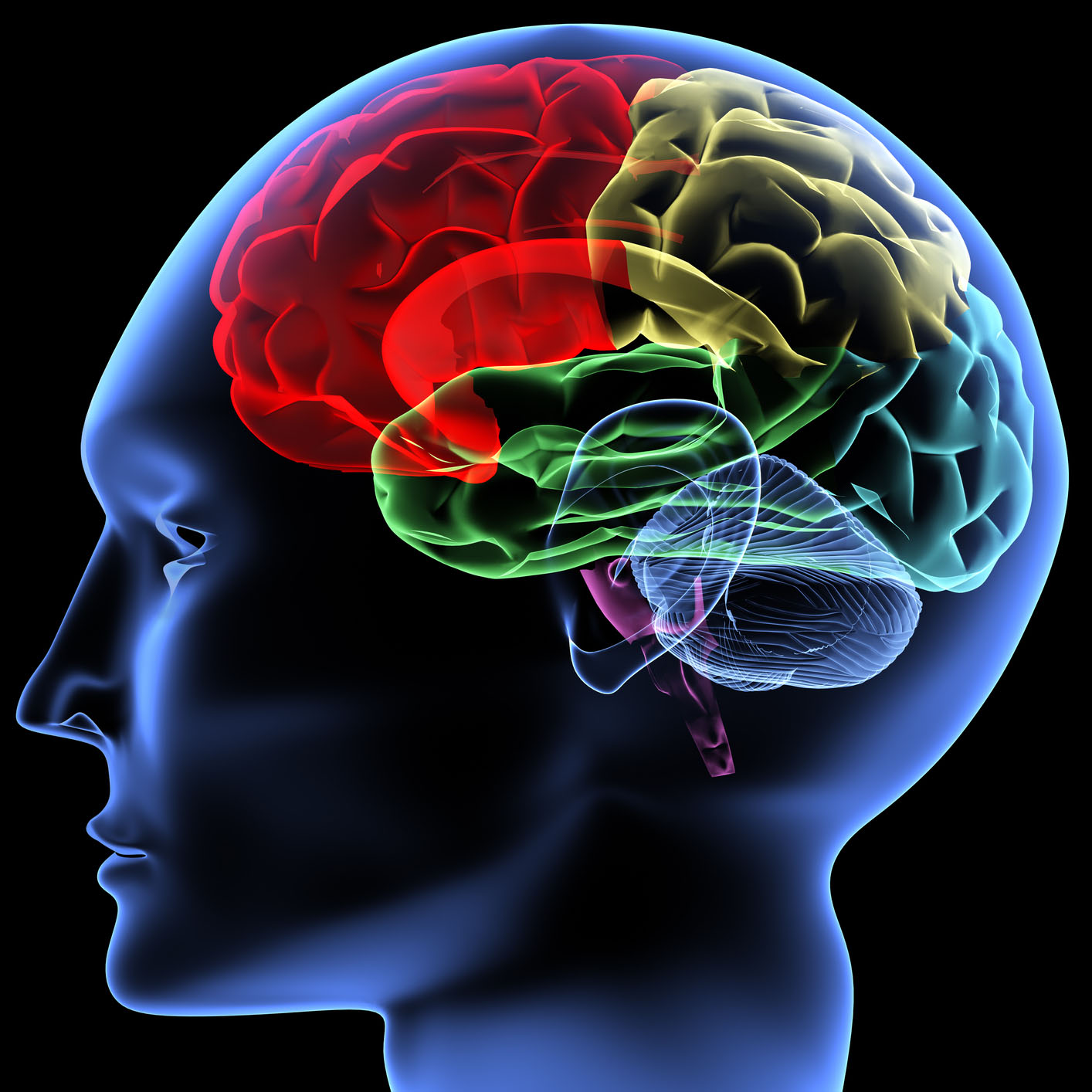 Neuromarketing Research Discussion at USPS OIG  11/08/16